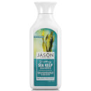 JASON Hair Care Sea Kelp and Porphyra Algae Shampoo 473ml JASON Hair Care Sea Kelp and Porphyra Algae Shampoo 473ml