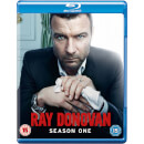 Ray Donovan - Season 1