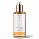 Очищающий тоник Dr. Hauschka Clarifying Toner 100 мл