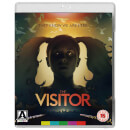 The Visitor