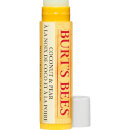 Burt's Bees 100% Natural Moisturising Lip Balm with Cucumber Mint and Beeswax