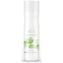 Shampooing Régénérant Elements Wella Professionals 250 ml Shampooing Régénérant Elements Wella Professionals 250 ml