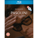 Pasolini Pasolini
