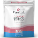 Westlab Himalaya Salt 5 kg