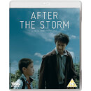 After the Storm After the Storm