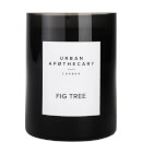Urban Apothecary Fig Tree Luxury Candle 300g