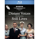 Distant Voices Still Lives
