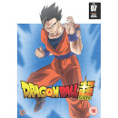 Dragon Ball Super Part 7 (Episodes 79-91)