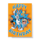 Looney Tunes Group Happy Birthday Greetings Card