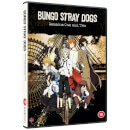 Bungo Stray Dogs: Season 1 & 2 + OVA