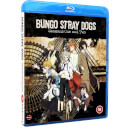 Bungo Stray Dogs: Season 1 & 2 + OVA