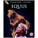 Equus Equus