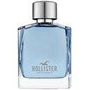 Hollister Wave For Him Eau de Toilette 100ml Hollister Wave For Him Eau de Toilette 100ml