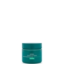Aveda Botanical Repair Intensive Strengthening Masque Rich 25ml Aveda Botanical Repair Intensive Strengthening Masque Rich 25ml