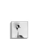 Chantecaille Luminescent Eyeshadow - Crane