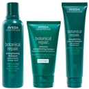 Aveda Botanical Repair Routine