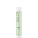 Paul Mitchell Clean Beauty Anti Frizz Shampoo 250ml