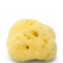 ARgENTUM la lune sur l'eau Silk Sea Face Sponge ARgENTUM la lune sur l'eau Silk Sea Face Sponge