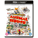 Animal House - 4K Ultra HD (Includes Blu-ray) Animal House - 4K Ultra HD (Includes Blu-ray)