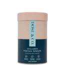 Dose & Co Collagen Dairy Protein - Chocolate