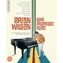 Brian Wilson: A long Promised Road