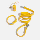 Wild One Dog Collar Walk Kit - Butter Yellow - XL