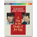A Day in the Death of Joe Egg (Standard Edition)