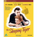 The Sleeping Tiger (Vintage Classics) The Sleeping Tiger (Vintage Classics)