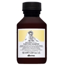 Davines NATURALTECH Purifying Shampoo 100ml Davines NATURALTECH Purifying Shampoo 100ml
