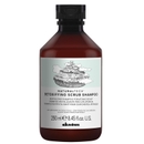 Davines NATURALTECH Detoxifying Scrub Shampoo 250ml Davines NATURALTECH Detoxifying Scrub Shampoo 250ml