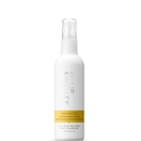Philip Kingsley Styling Maximizer Root Boosting Spray 125ml