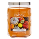 Wax Lyrical Candles Pumpkin Spice Large Candle Jar 700g Wax Lyrical Candles Pumpkin Spice Large Candle Jar 700g