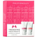 Philip Kingsley Trending Treatment Hydrate & Repair (Worth $28)