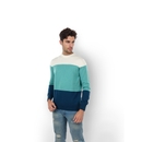 Men Green Round Neck Colourblocked Regular Fit Cotton Sweater JERAIN S