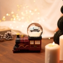 Harry Potter Snow Globe