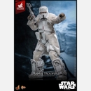 Hot Toys Star Wars Range Trooper 1/6th Scale Limited Edition Statue
