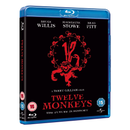 Twelve Monkeys Blu-Ray
