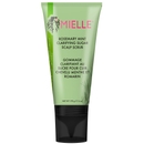 Mielle Organics Rosemary Mint Clarifying Sugar Scalp Scrub 177ml