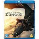 How to Train Your Dragon
