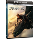How to Train Your Dragon 4K Ultra HD (includes Blu-ray) How to Train Your Dragon 4K Ultra HD (includes Blu-ray)