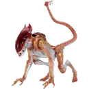 NECA NECA Aliens 7in Fig-Ultimate Kenner Tribute Panther Alien NECA NECA Aliens 7in Fig-Ultimate Kenner Tribute Panther Alien