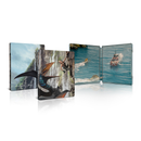 Jurassic World: Rebirth 4K Ultra HD SteelBook