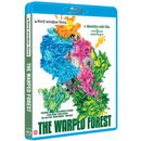 The Warped Forest The Warped Forest