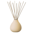 Aery Living Fernweh Himalayan Cedarleaf Diffuser 200ml Aery Living Fernweh Himalayan Cedarleaf Diffuser 200ml