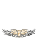 Zadig & Voltaire ZADIG Eau de Parfum 90ml