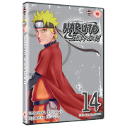 Naruto Shippuden Collection 14 (Episodes 167-179)