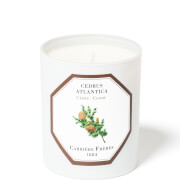 Carrière Frères Scented Candle Cedar - Cedrus Atlantica - 185 g