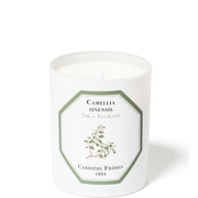 Carrière Frères Scented Candle Tea Plant - Camellia Sinensis - 6.5 oz