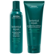 Aveda Botanical Repair Shampoo and Conditioner Duo
