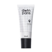 Dwtn Paris Liquid Blusher